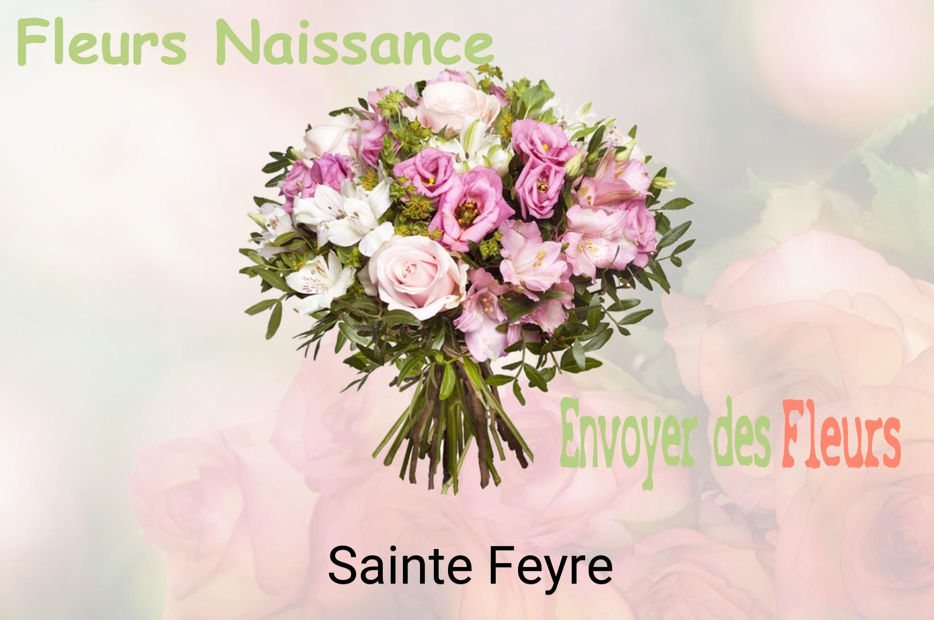 Bouquet de fleurs de naissance livré à Sainte-Feyre